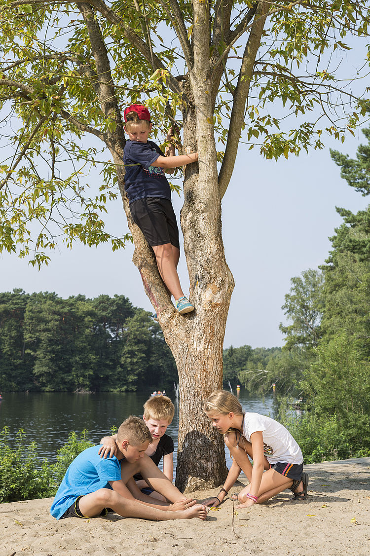 Kinder helfen einem Kind, dass von einem Baum gefallen ist.