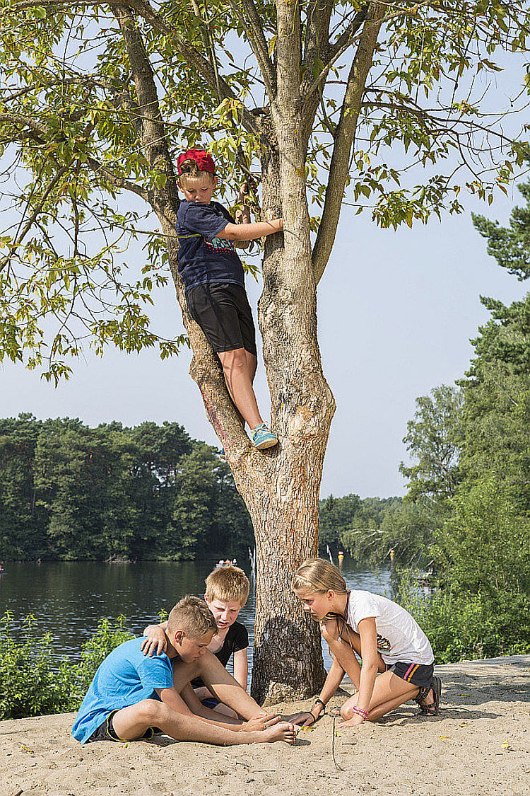 Kind stürzt vom Baum